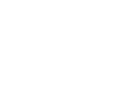 footer logo icon